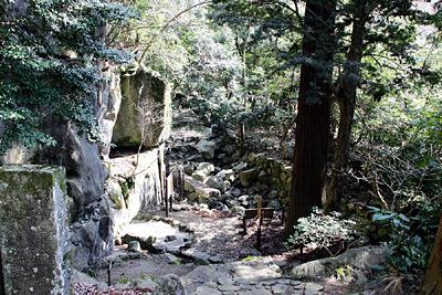 杉の木々に囲まれている大岩の写真