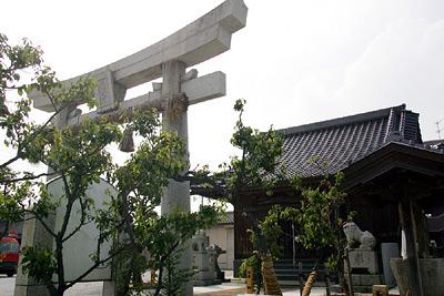 鳥居から見た金田菅原神社の写真
