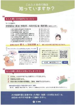 愛犬の散歩をするときのルールとマナー02
